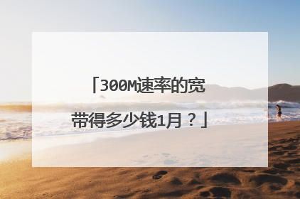 300M速率的宽带得多少钱1月？