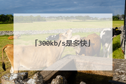 300kb/s是多快