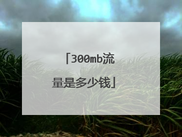 300mb流量是多少钱