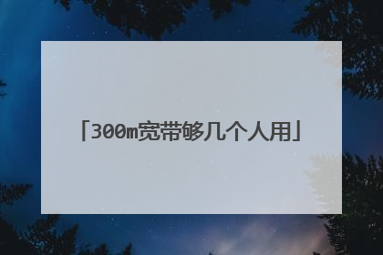 300m宽带够几个人用