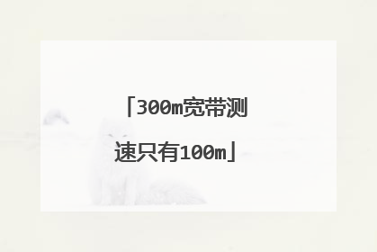 300m宽带测速只有100m