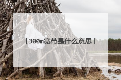 300m宽带是什么意思