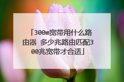 300m宽带用什么路由器 多少兆路由匹配300兆宽带才合适