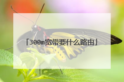 300m宽带要什么路由