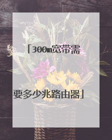 300m宽带需要多少兆路由器