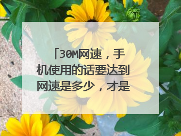 30M网速，手机使用的话要达到网速是多少，才是合格的呢？