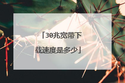 30兆宽带下载速度是多少
