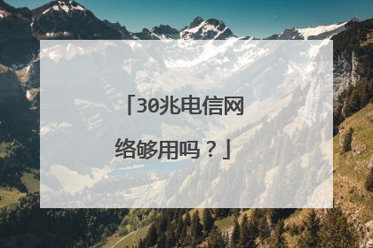 30兆电信网络够用吗?