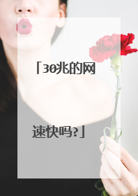 30兆的网速快吗?