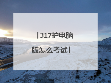 317护电脑版怎么考试