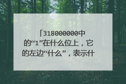 318000000中的“1”在什么位上,它的左边“什么”,表示什么,右边是“什么”?