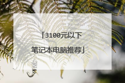 3100元以下笔记本电脑推荐