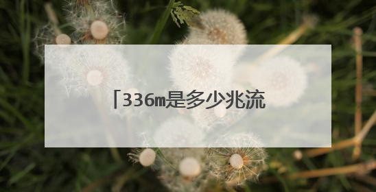 336m是多少兆流量，我家是电信的怎么用其他测速软件是4m左右啊，谢谢。