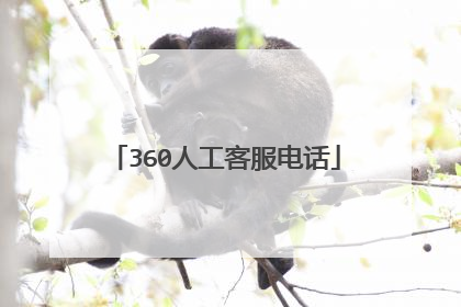 360人工客服电话