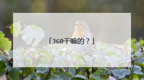 360干嘛的?