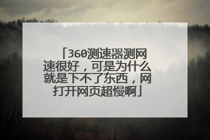 360测速器测网速很好,可是为什么就是下不了东西,网打开网页超慢啊