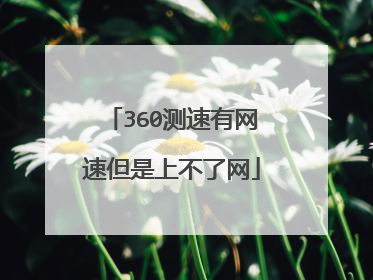 360测速有网速但是上不了网