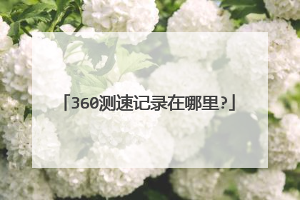 360测速记录在哪里?