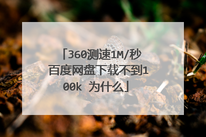 360测速1M/秒 百度网盘下载不到100k 为什么