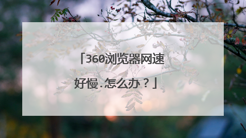360浏览器网速好慢.怎么办？