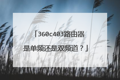 360c403路由器是单频还是双频道?
