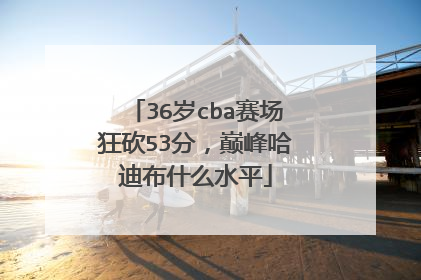 36岁cba赛场狂砍53分，巅峰哈迪布什么水平