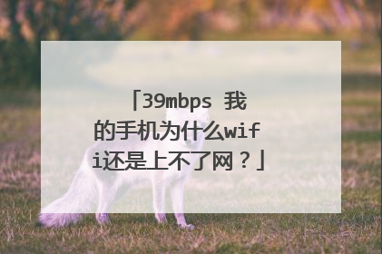 39mbps 我的手机为什么wifi还是上不了网?