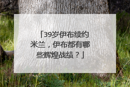 39岁伊布续约米兰，伊布都有哪些辉煌战绩？