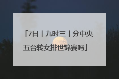 7日十九时三十分中央五台转女排世锦赛吗