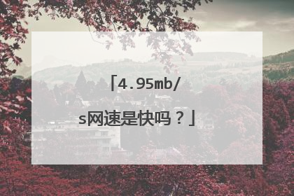 4.95mb/s网速是快吗？