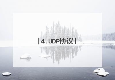 4.UDP协议