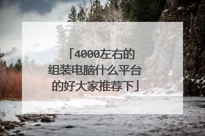 4000左右的组装电脑什么平台的好大家推荐下