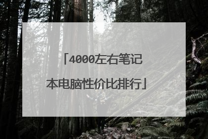 4000左右笔记本电脑性价比排行
