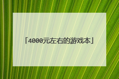 4000元左右的游戏本