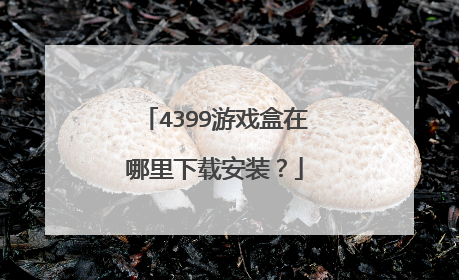 4399游戏盒在哪里下载安装？