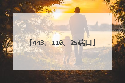 443、110、25端口