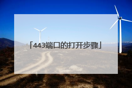 443端口的打开步骤