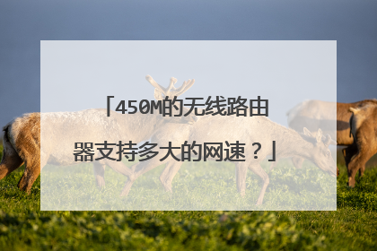 450M的无线路由器支持多大的网速？