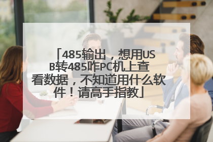 485输出,想用USB转485咋PC机上查看数据,不知道用什么软件!请高手指教
