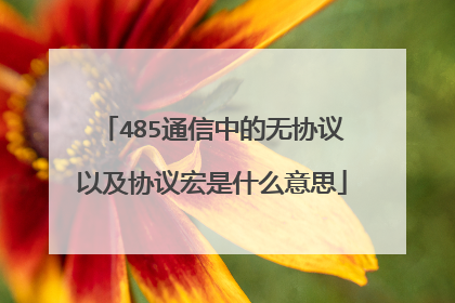 485通信中的无协议以及协议宏是什么意思