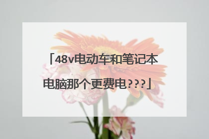 48v电动车和笔记本电脑那个更费电???