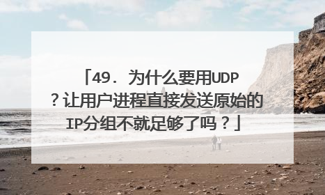 49. 为什么要用UDP？让用户进程直接发送原始的IP分组不就足够了吗？