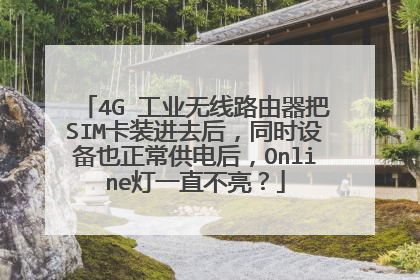 4G 工业无线路由器把SIM卡装进去后，同时设备也正常供电后，Online灯一直不亮？