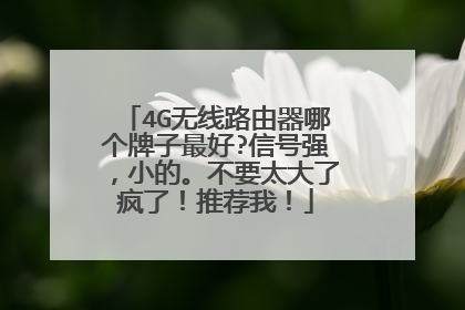 4G无线路由器哪个牌子最好?信号强,小的。不要太大了疯了!推荐我!
