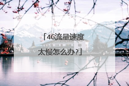 4G流量速度太慢怎么办?