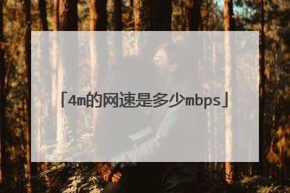 4m的网速是多少mbps