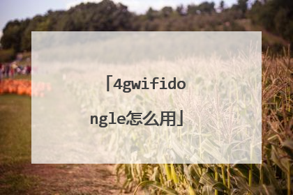 4gwifidongle怎么用