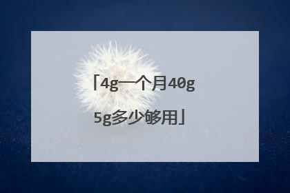 4g一个月40g 5g多少够用