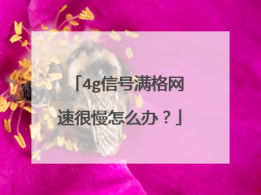4g信号满格网速很慢怎么办？