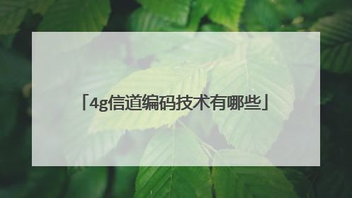4g信道编码技术有哪些